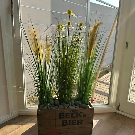 Terrassenwohnung An Der Kleinen Weser Apartment